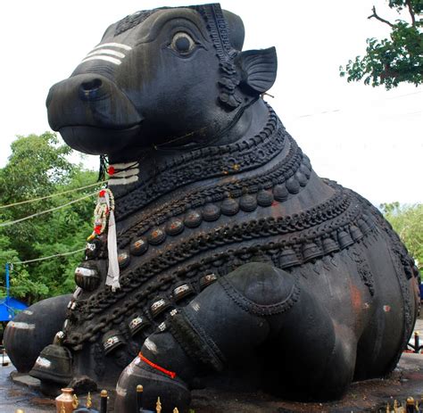 The Hindu God Nandi Sacred Bull Of Shiva