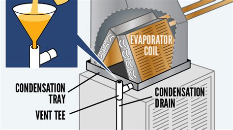 In this guide, you'll learn how to keep the drain clear and unclog it if needed. Pin on DIY Repairs & Installs