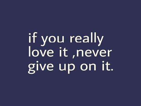 I Wont I Wont Give Up Never Give Up Quotes