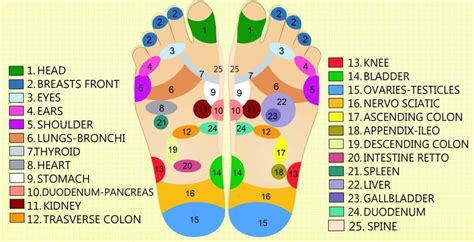 Reflexology A Whole Lot More Than Just Foot Massage The Natural