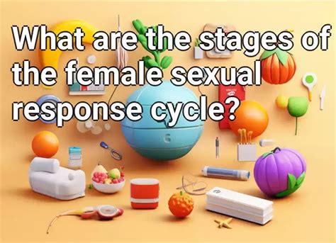 What Are The Stages Of The Female Sexual Response Cycle Healthgov
