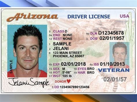 Az Driver License Check Renewparty