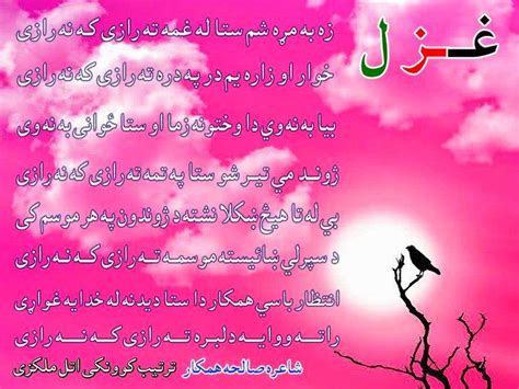 Pashto Poetry پختو شاعری۔