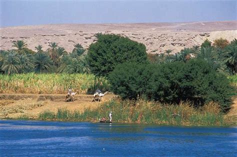 nile river facts definition map history and location journey to egypt in 2022 nile river