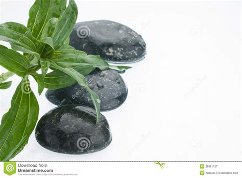 Zen Stones And Leaves With Water Drops Stock Image Image Of Droplet