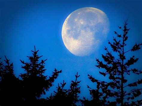 60 Pictures That Prove That The Moon Is Amazing