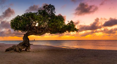 Why you should visit aruba. Aruba - Multidestinos®