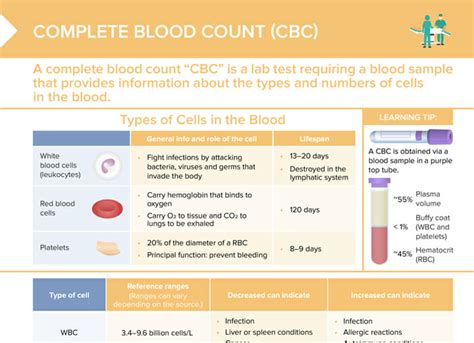 Complete Blood Count Free Cheat Sheet Lecturio Nursing