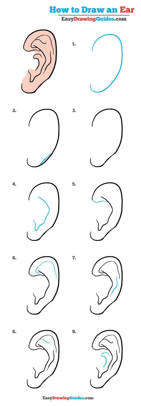 How To Draw An Ear Really Easy Drawing Tutorial Drawing Drawings