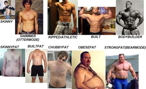 Male Body Type Chart
