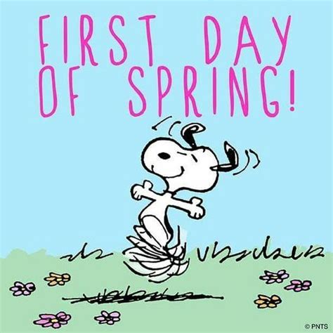 Snoopy First Day Of Spring Pictures Photos And Images For Facebook