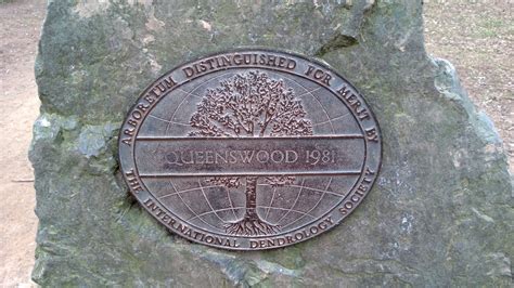 Something Beautiful Everyday Queenswood Arboretum Herefordshire
