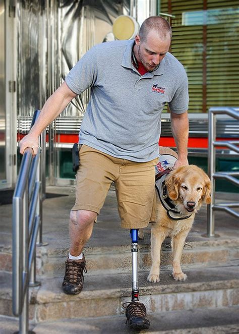 How Do Dogs Help Humans With Disabilities