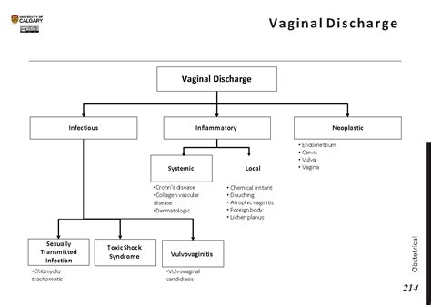 Vaginal Discharge Blackbook Blackbook