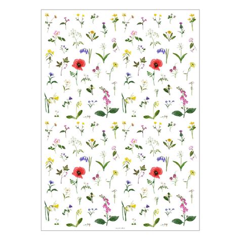 Wild Flowers Wrapping Paper By Naomi Stay