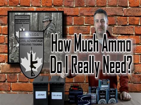 How much primer do you recommend i add (in ng) for a 50 ul reaction? How Much Ammo Do I Really Need?? - YouTube