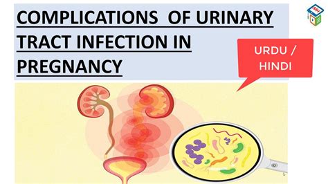 Urinary Tract Infection Part Complications Of Uti In Pregnancy Y It Is Important To Diagnose N
