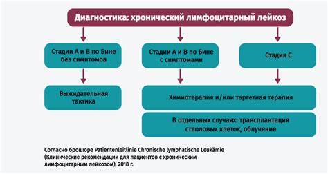 Лейкоз хронический диета Хронический лимфоцитарный лейкоз (ХЛЛ): симптомы, диагностика, лечение Хронический лимфоцитарный лейкоз (ХЛЛ): симптомы, диагностика, лечение Лейкоз хронический диета