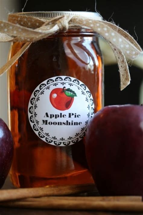 Crock Pot Apple Pie Moonshine | Apple pie moonshine ...