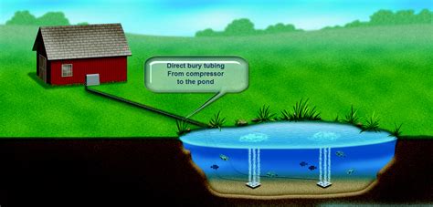 Ponds can be created by a wide variety of natural process (e.g. PS10
