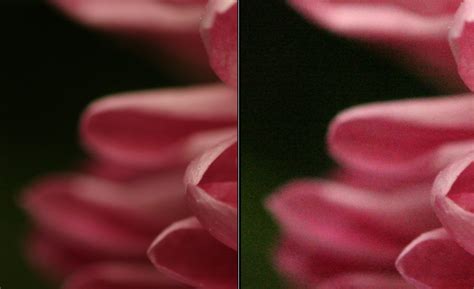 What Is ISO? A Simple Guide to ISO in Photography