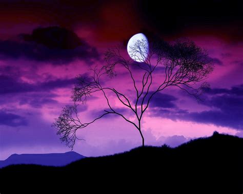 Dark Moon Beautiful Moon Purple Sky Beautiful Nature
