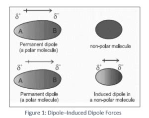 Explain Dipoleinduced Dipole Forces