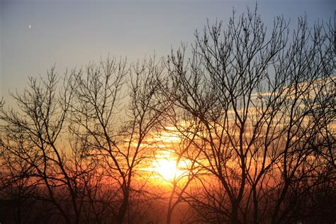 Free Images Landscape Tree Nature Branch Cloud Sunrise Sunset