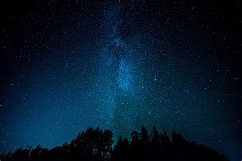 Online Crop Milky Way Galaxy Stars Landscape Trees Silhouette Hd