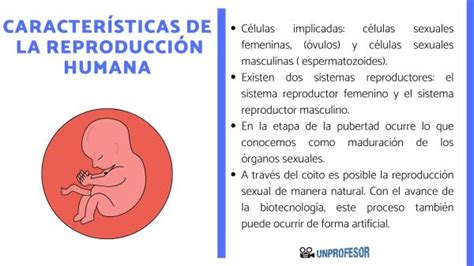 4 Características De La ReproducciÓn Humana