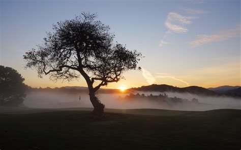 Download Wallpaper 3840x2400 Field Trees Fog Sun Sunset Landscape