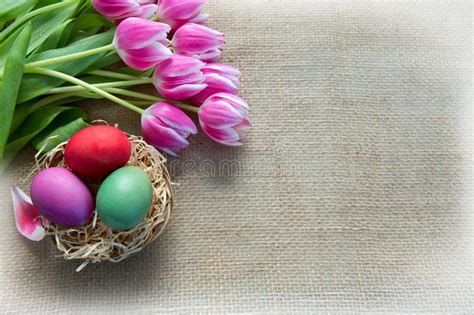 Easter Eggs In The Nest And Pink Tulips Stock Photo Image Of