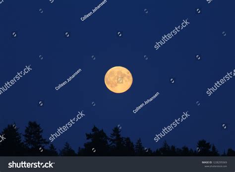 Full Moon Over Mountain Dark Blue Stock Photo 1228295569 Shutterstock