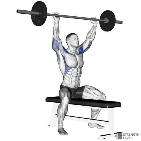 Seated Shoulder Press Standards For Men And Women Lb Strength Level