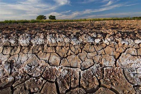 Whats Soil Salinization How Does Salinity Affect Soil