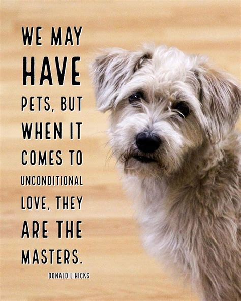 Quotes On Unconditional Love Of Dogs