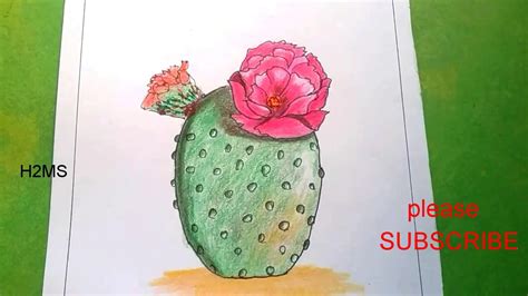 How To Make Simple Blooming Cactus Drawing Pink Cactus Flower Drawing