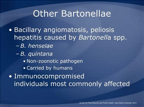 Ppt Cat Scratch Disease And Other Bartonella Infections Powerpoint