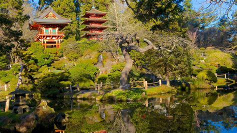 Come try our chinese cuisine here at tea garden in braselton, georgia! Japanese Tea Garden in San Francisco, California | Expedia