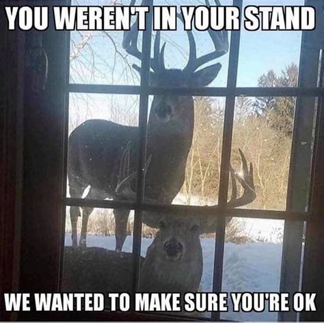 Pin By Valerie Wright On Funny Funny Deer Funny Hunting Pics Funny