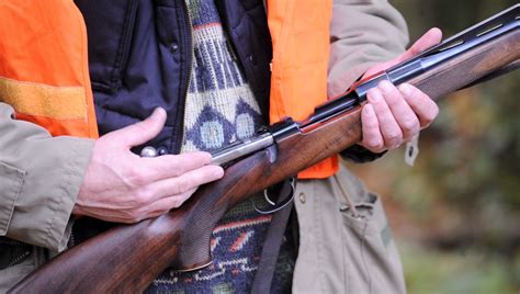 Faut Il Interdire La Chasse Le Dimanche France Bleu