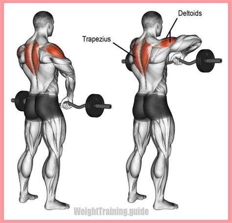 Wide Grip Upright Row Works Your Lateral Deltoids And Traps Can Be
