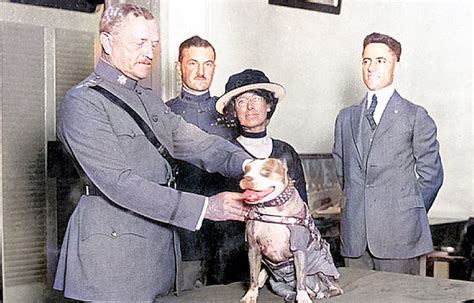 Sergeant Stubby Archives