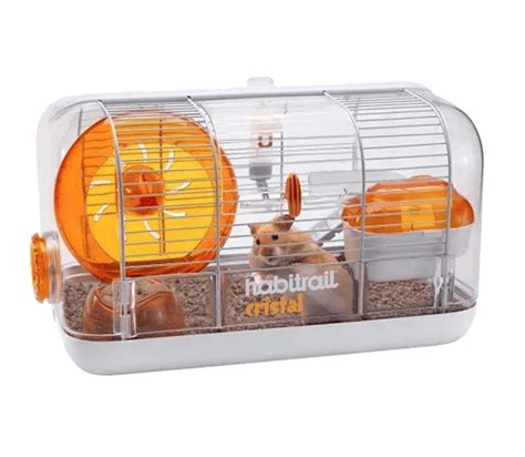 Hamster Cages With Hamster