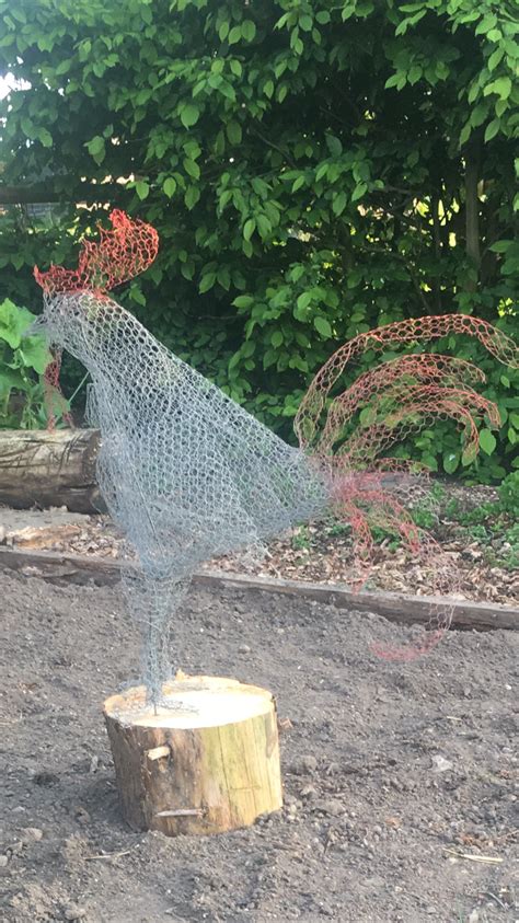 Pin By Clare Hall On Chicken Wire Art In 2020 Chicken Wire Art Bird