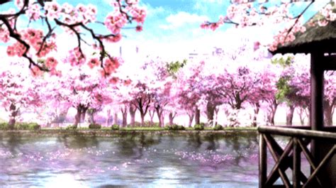 Animated gif cherry bloosm |. Aesthetic Cherry Blossom Anime Scenery Wallpaper — ANIMWALL.COM