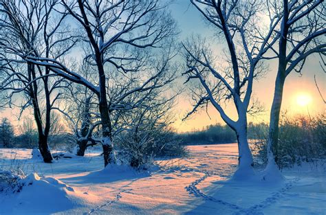 Winter Snow Nature Landscape Wallpapers Hd Desktop And Mobile
