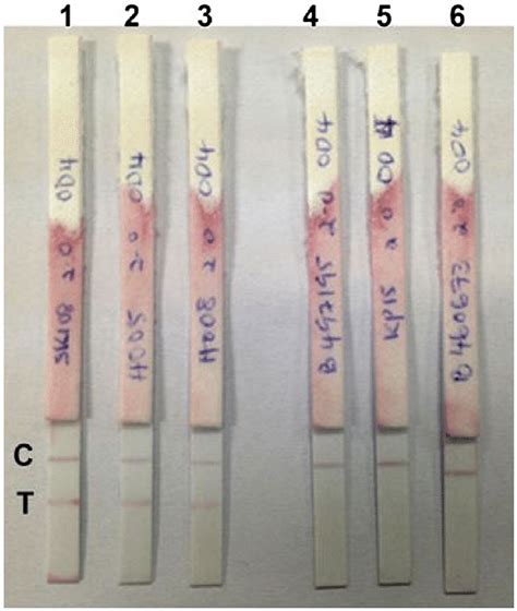 Lateral flow tests are immunoassays for detecting food pathogens with the ultimate convenience. Representative lateral flow dipstick tests using positive ...