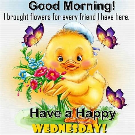 Good Morning Have A Happy Wednesday Pictures Photos And Images For
