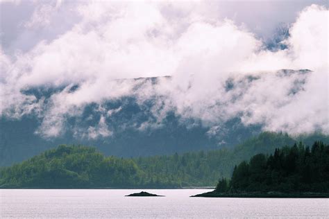 Alaska Coastal Rainforests Photograph By Katrina Lau Fine Art America